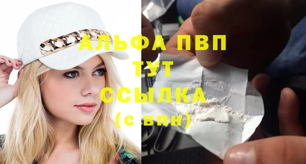 спиды Новозыбков