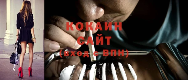 спиды Новозыбков