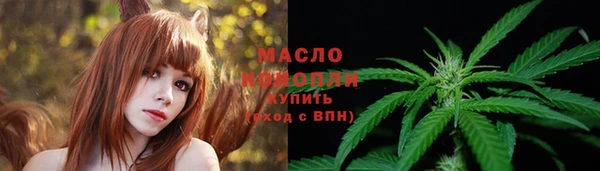 спиды Новозыбков