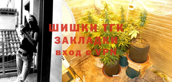 спиды Новозыбков