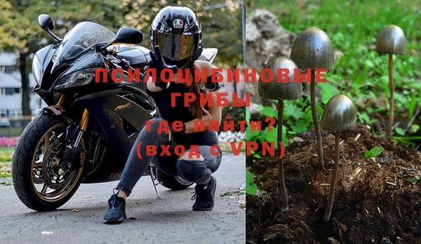соль курить ск Новодвинск