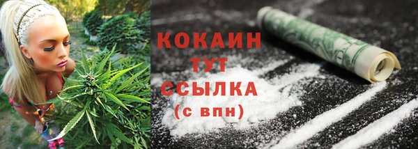 соль курить ск Новодвинск