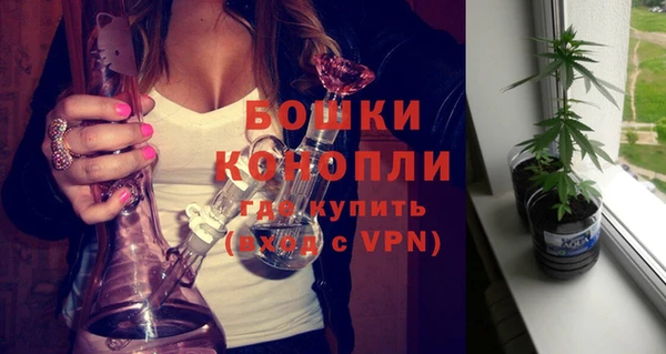 спиды Новозыбков
