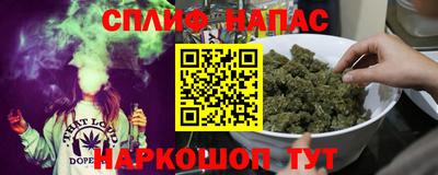 СК Балашиха