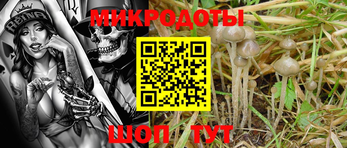 Псилоцибиновые грибы мицелий  Псилоцибиновые грибы мухоморы  Партизанск  продажа наркотиков  Вход с VPN 