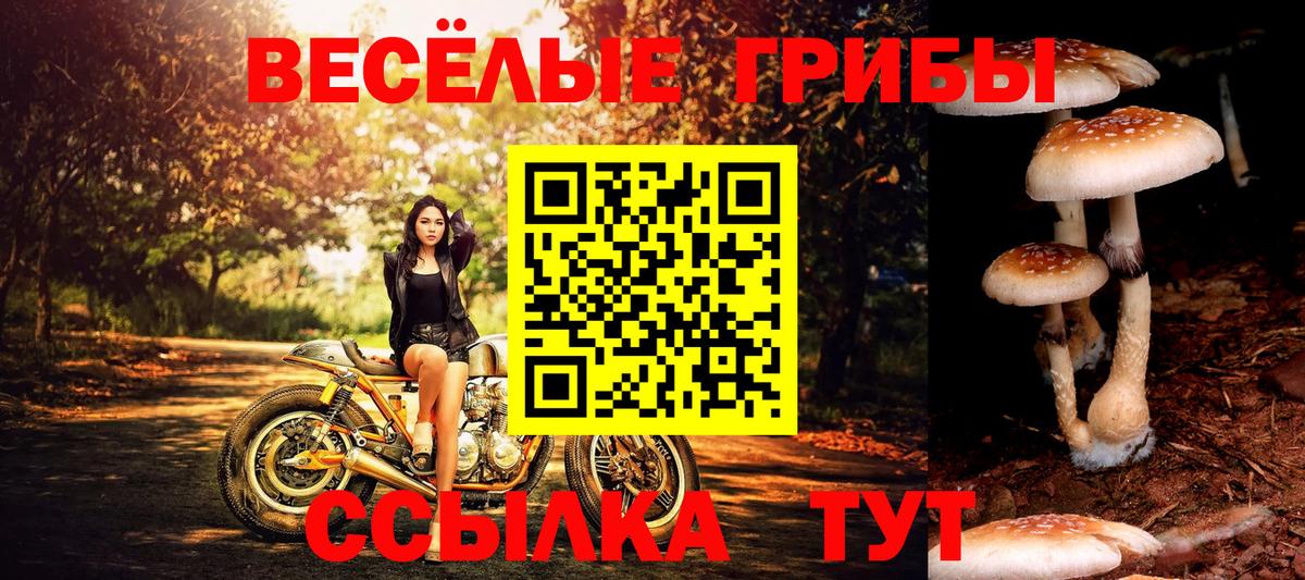 Галлюциногенные грибы MAGIC MUSHROOMS Партизанск