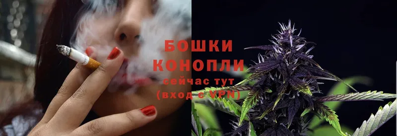 Бошки Шишки Ganja  купить   Партизанск 